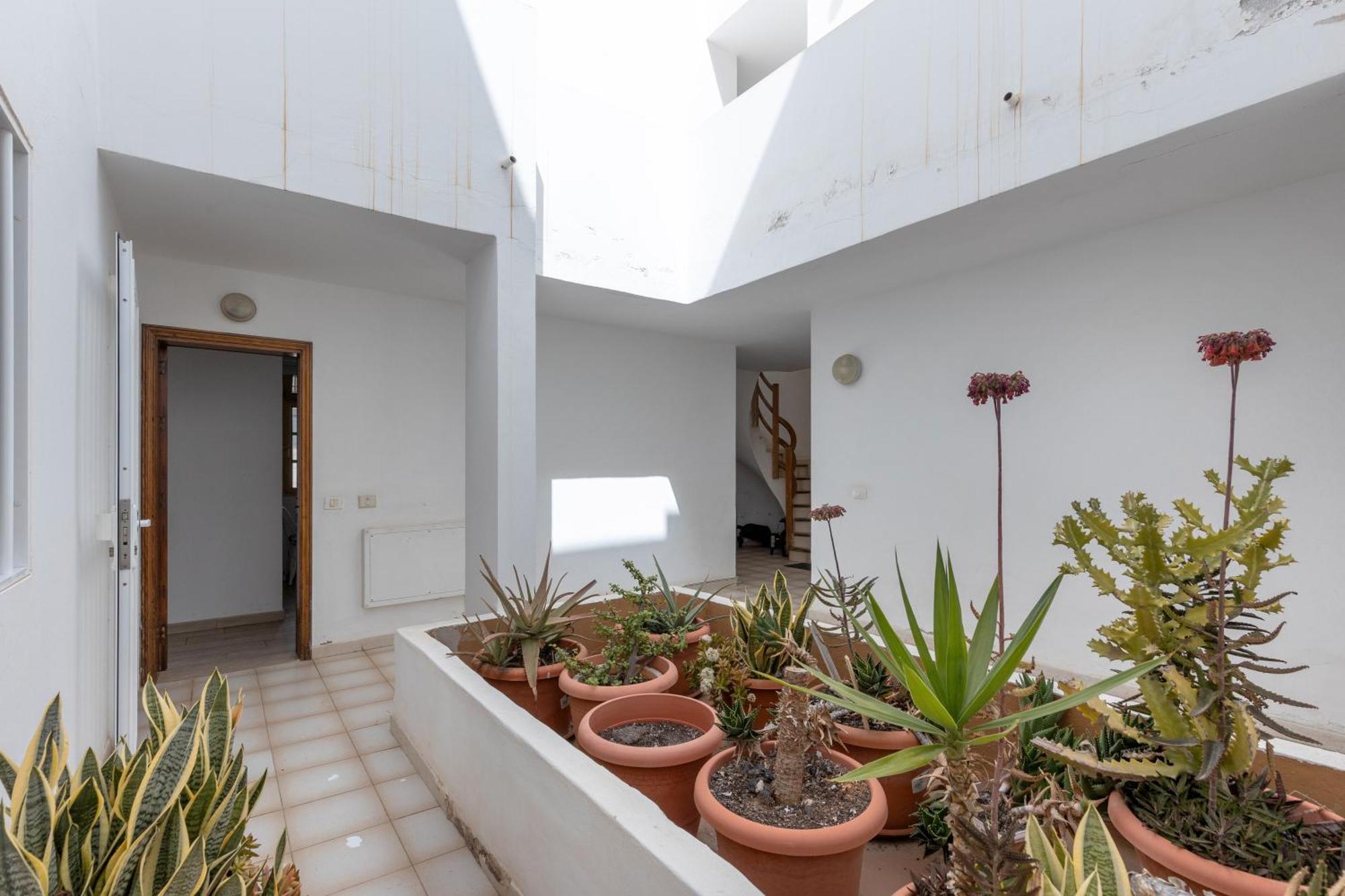 Central Bright Studio Corralejo Zewnętrze zdjęcie